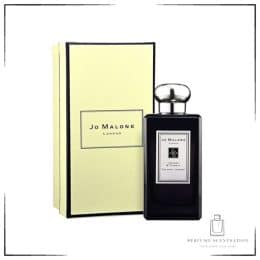 JO MALONE INCENSE & CEDRAT COLOGNE INTENSE 100ML