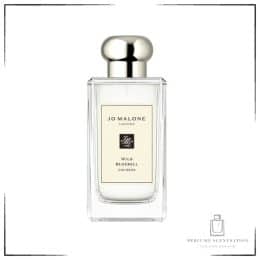 JO MALONE WILD BLUEBELL COLOGNE 100ML