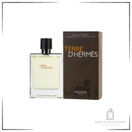 TERRE D HERMES (EDT) 100ML