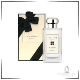 JO MALONE BLACKBERRY & BAY COLOGNE 100ML