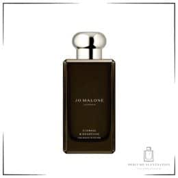 JO MALONE CYPRESS & GRAPEVINE COLOGNE INTENSE 100ML BROWN BOX LIMITED EDITION