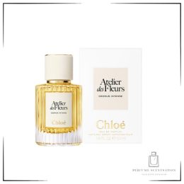 Chloé Cedrus Intense EDP 50ML – Woody Elegant Unisex Perfume